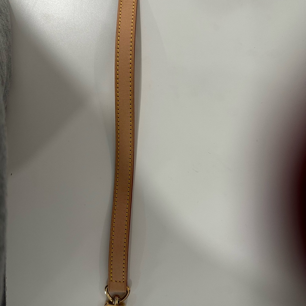 Louis Vuitton Pouchette with Cross Body Strap - Picture 13 of 15